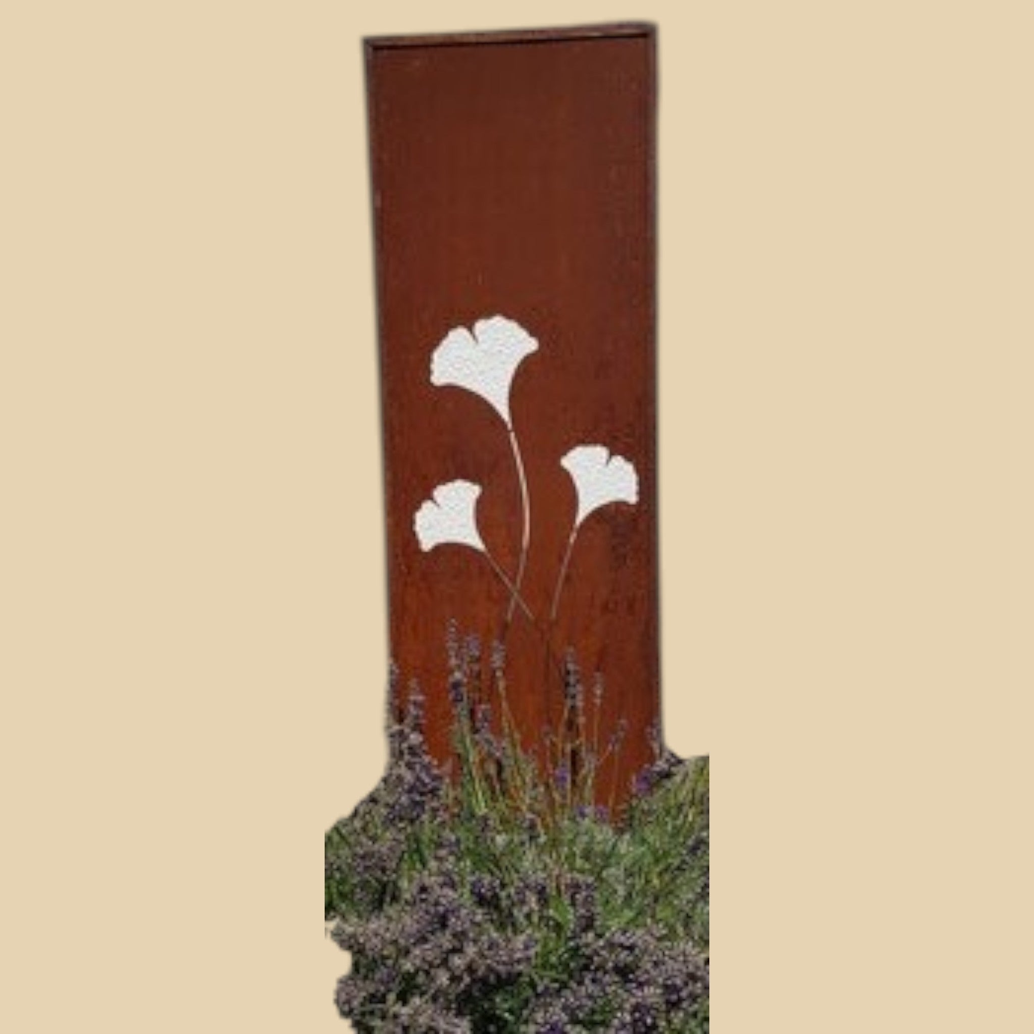 Sichtschutz Ginkgo